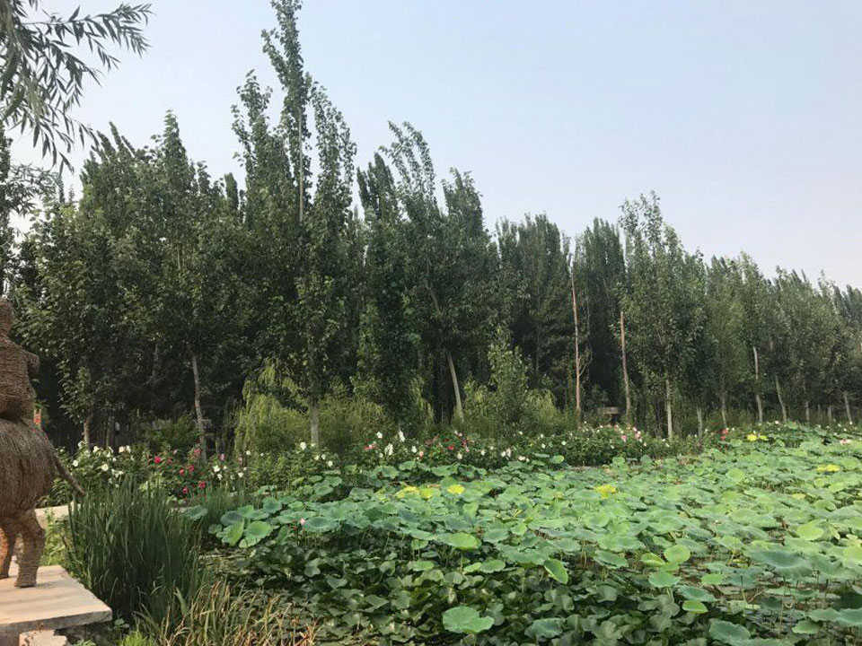 1528699274637506.jpg 1.jpg